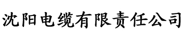 玉米视频私人影院电缆厂logo